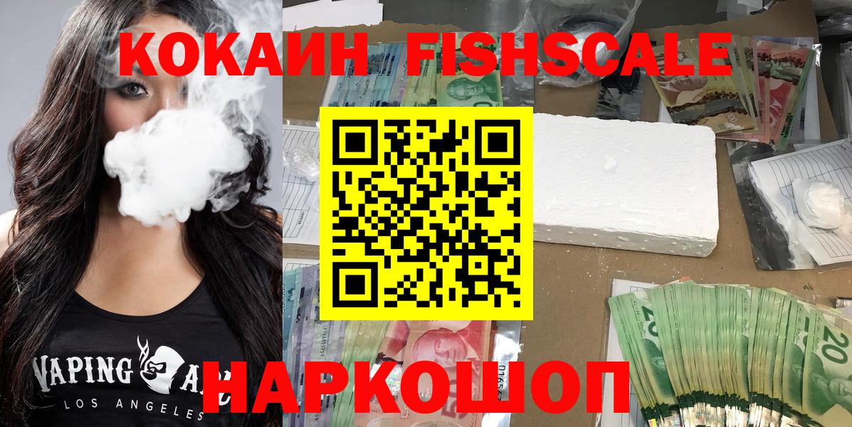 COCAIN Fish Scale  COCAIN FishScale  Вход с VPN  COCAIN  Всеволожск 