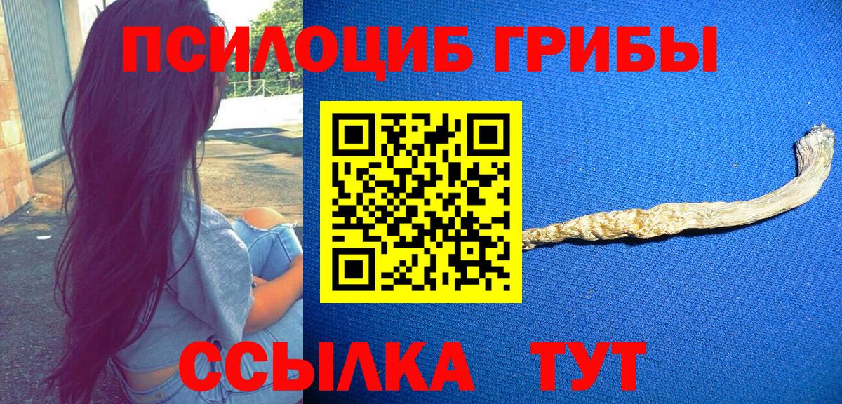 Псилоцибиновые грибы MAGIC MUSHROOMS  Псилоцибиновые грибы Psilocybine cubensis  Всеволожск  Вход с VPN 